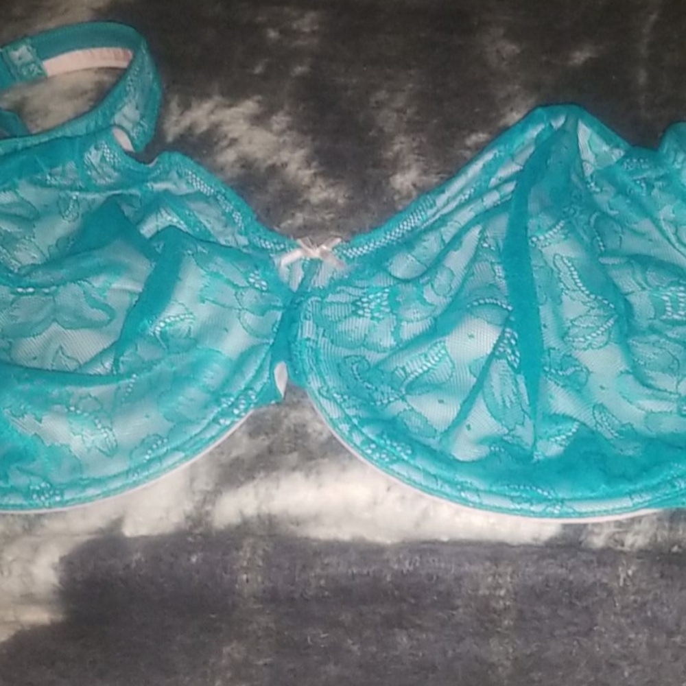 Lane bryant bra